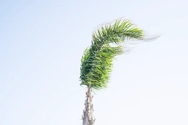 Stessa spiaggia, stesso mare — 1