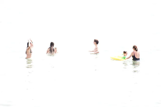 White — 1
