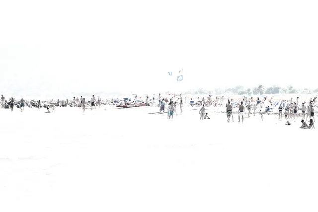 White — 8